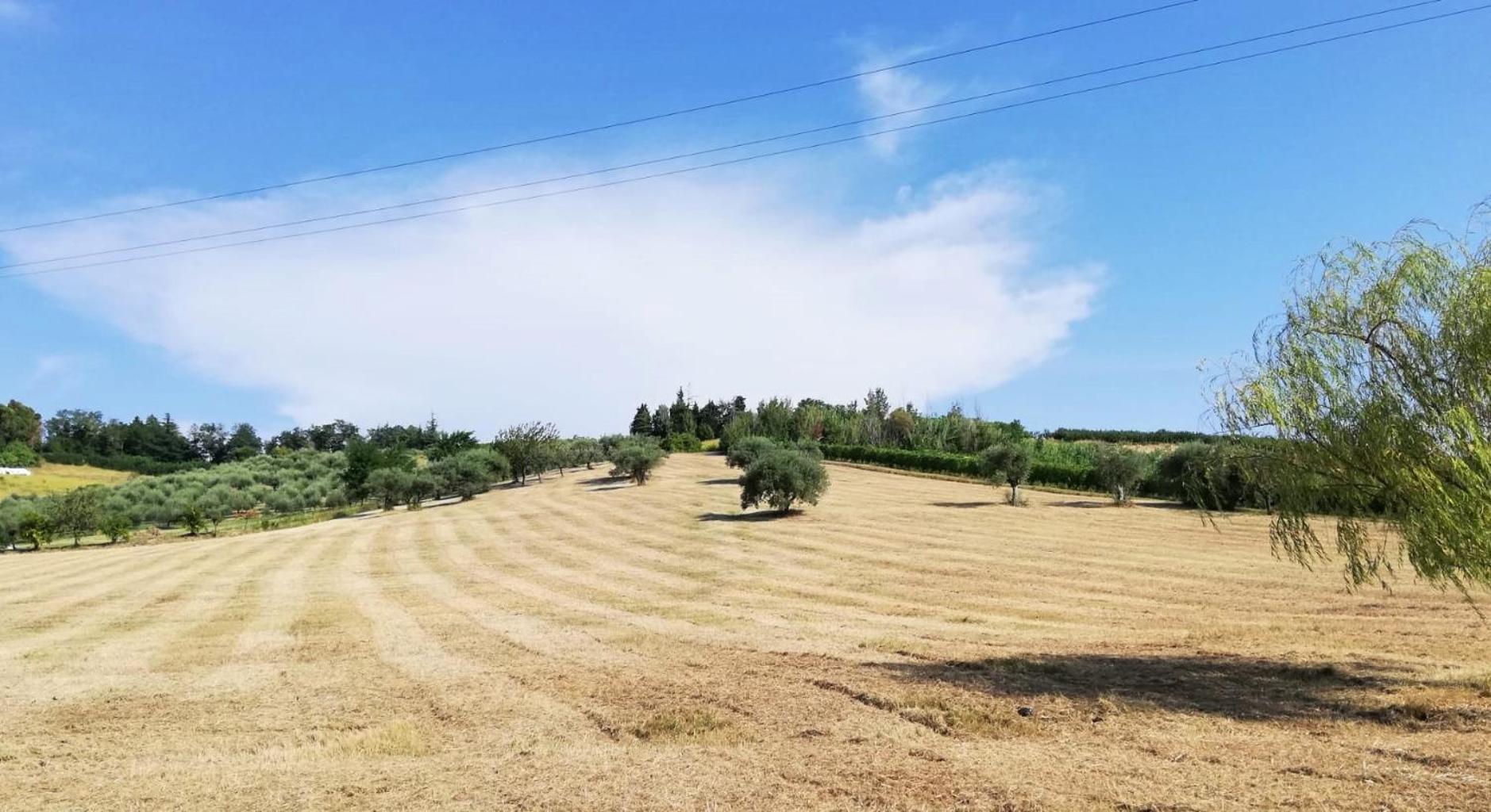 Colle Gelso Guest House Cesena Bagian luar foto