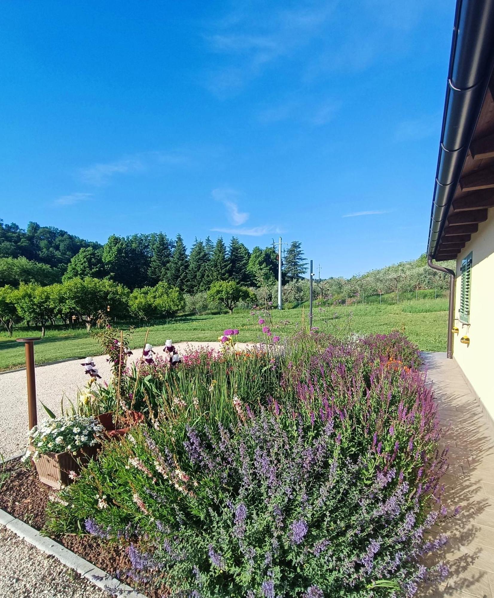 Colle Gelso Guest House Cesena Bagian luar foto